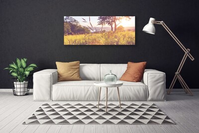 Photo sur toile Prairie herbe arbre nature vert brun