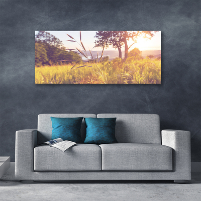 Photo sur toile Prairie herbe arbre nature vert brun