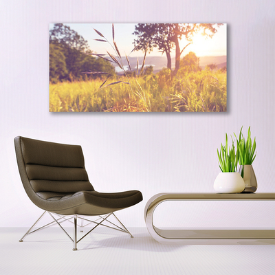 Photo sur toile Prairie herbe arbre nature vert brun