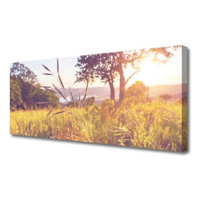 Photo sur toile Prairie herbe arbre nature vert brun