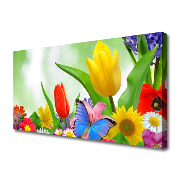 Photo sur toile Fleurs papillon nature multicolore