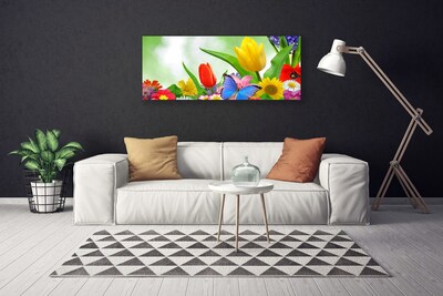 Photo sur toile Fleurs papillon nature multicolore