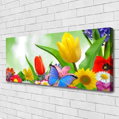 Photo sur toile Fleurs papillon nature multicolore