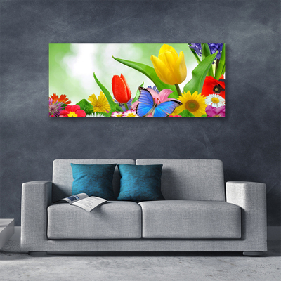 Photo sur toile Fleurs papillon nature multicolore