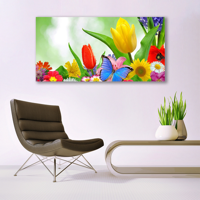 Photo sur toile Fleurs papillon nature multicolore