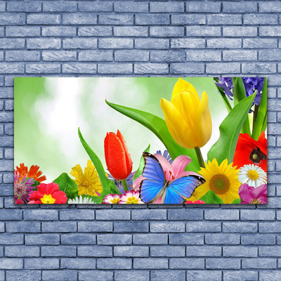 Photo sur toile Fleurs papillon nature multicolore