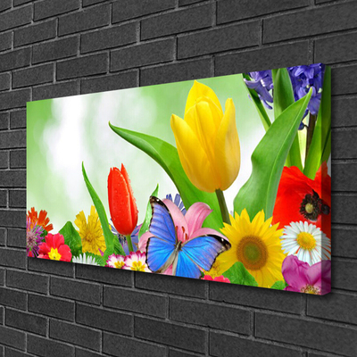 Photo sur toile Fleurs papillon nature multicolore