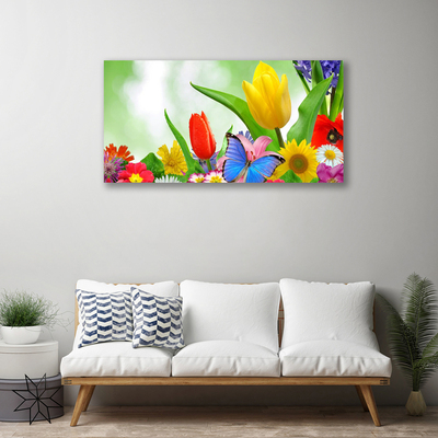 Photo sur toile Fleurs papillon nature multicolore