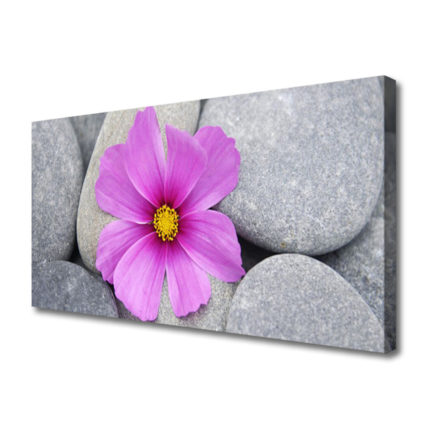 Photo sur toile Pierres fleurs floral rose gris