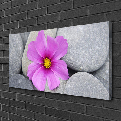 Photo sur toile Pierres fleurs floral rose gris