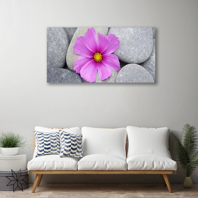 Photo sur toile Pierres fleurs floral rose gris