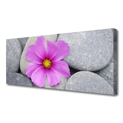 Photo sur toile Pierres fleurs floral rose gris