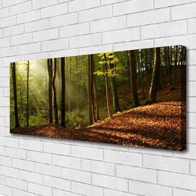 Photo sur toile Forêt nature brun vert