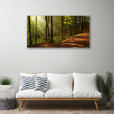 Photo sur toile Forêt nature brun vert