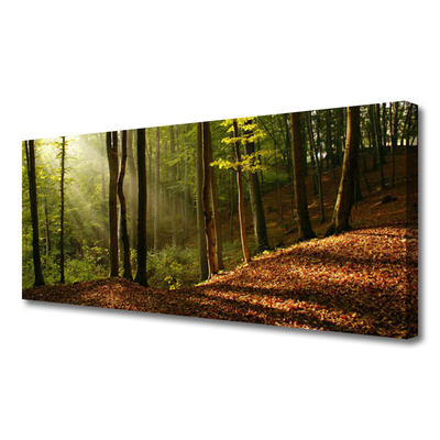 Photo sur toile Forêt nature brun vert