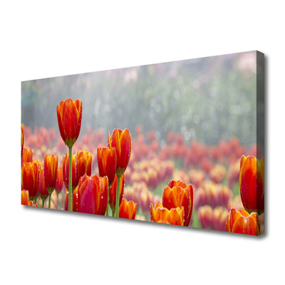 Photo sur toile Tulipes floral rouge