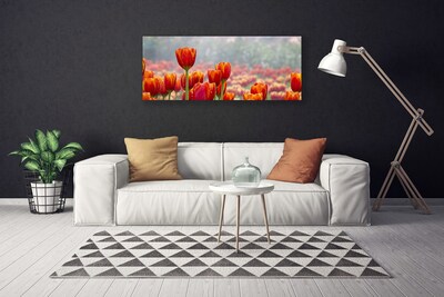 Photo sur toile Tulipes floral rouge