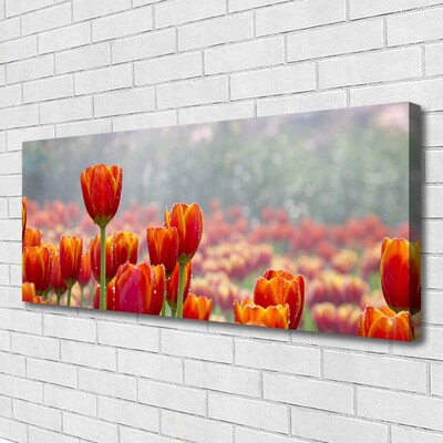 Photo sur toile Tulipes floral rouge