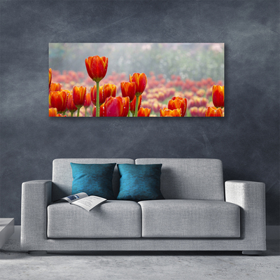 Photo sur toile Tulipes floral rouge