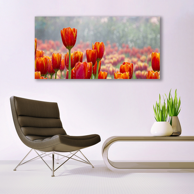 Photo sur toile Tulipes floral rouge