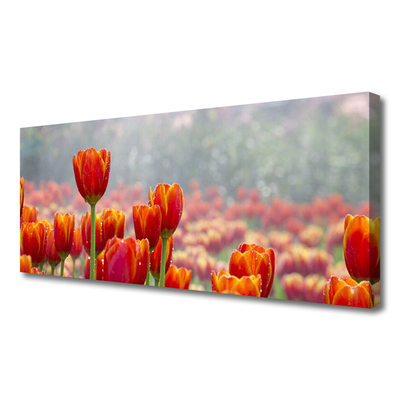 Photo sur toile Tulipes floral rouge