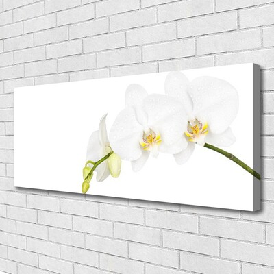 Photo sur toile Fleurs floral blanc