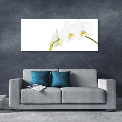 Photo sur toile Fleurs floral blanc