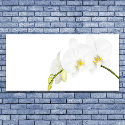 Photo sur toile Fleurs floral blanc