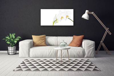 Photo sur toile Fleurs floral blanc