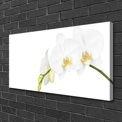 Photo sur toile Fleurs floral blanc