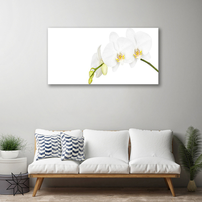 Photo sur toile Fleurs floral blanc