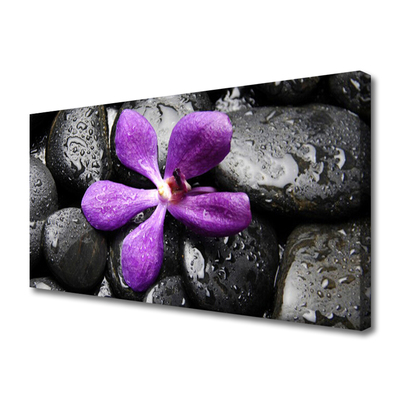 Photo sur toile Fleurs pierres art rose noir