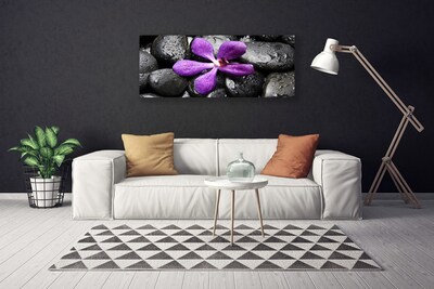 Photo sur toile Fleurs pierres art rose noir