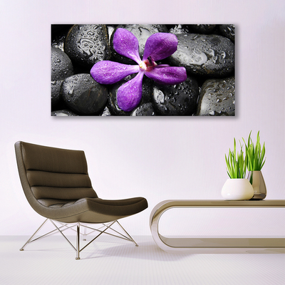 Photo sur toile Fleurs pierres art rose noir