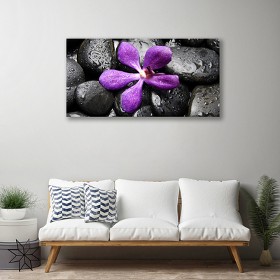 Photo sur toile Fleurs pierres art rose noir