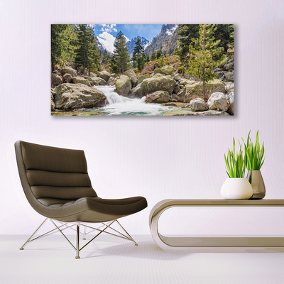 Photo sur toile Montagnes forêt lac nature gris brun vert blanc