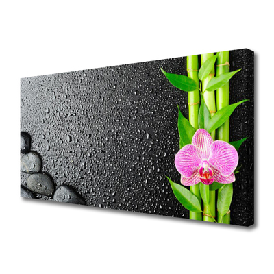 Photo sur toile Pierres fleurs bambou floral vert rose noir