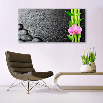 Photo sur toile Pierres fleurs bambou floral vert rose noir