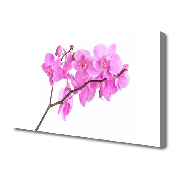 Photo sur toile Fleurs floral rose