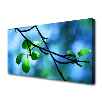 Photo sur toile Feuilles branche floral noir vert