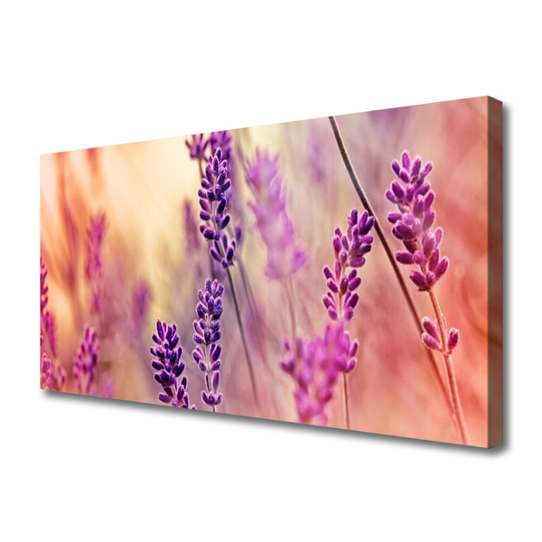 Photo sur toile Fleurs floral violet rose