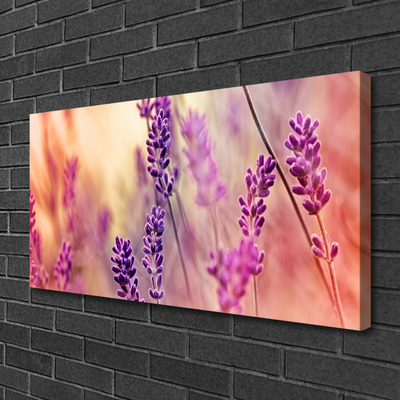 Photo sur toile Fleurs floral violet rose