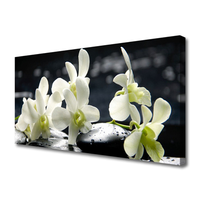 Photo sur toile Pierres fleurs floral blanc noir