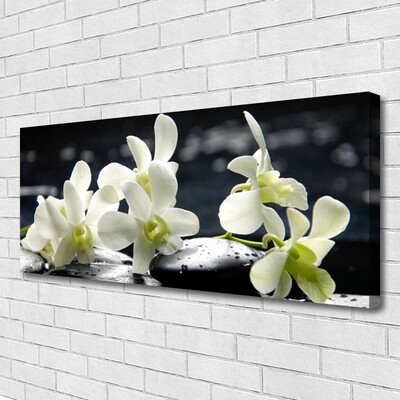 Photo sur toile Pierres fleurs floral blanc noir