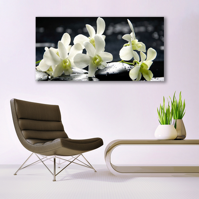 Photo sur toile Pierres fleurs floral blanc noir