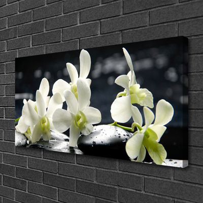 Photo sur toile Pierres fleurs floral blanc noir