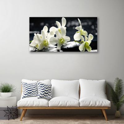 Photo sur toile Pierres fleurs floral blanc noir