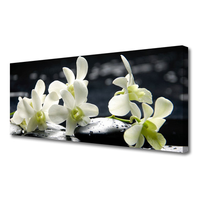 Photo sur toile Pierres fleurs floral blanc noir