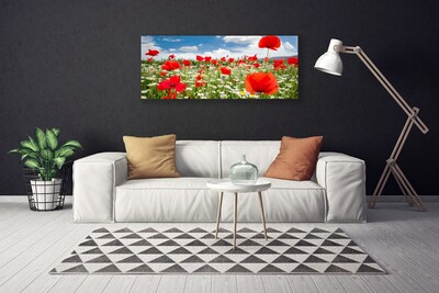 Photo sur toile Fleurs prairie nature rouge blanc vert