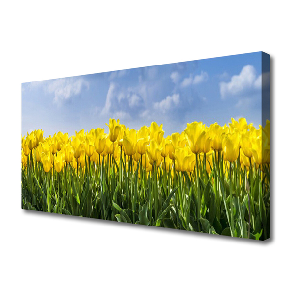 Photo sur toile Tulipes floral jaune vert